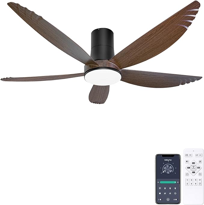 Best Ceiling Fan with Lights