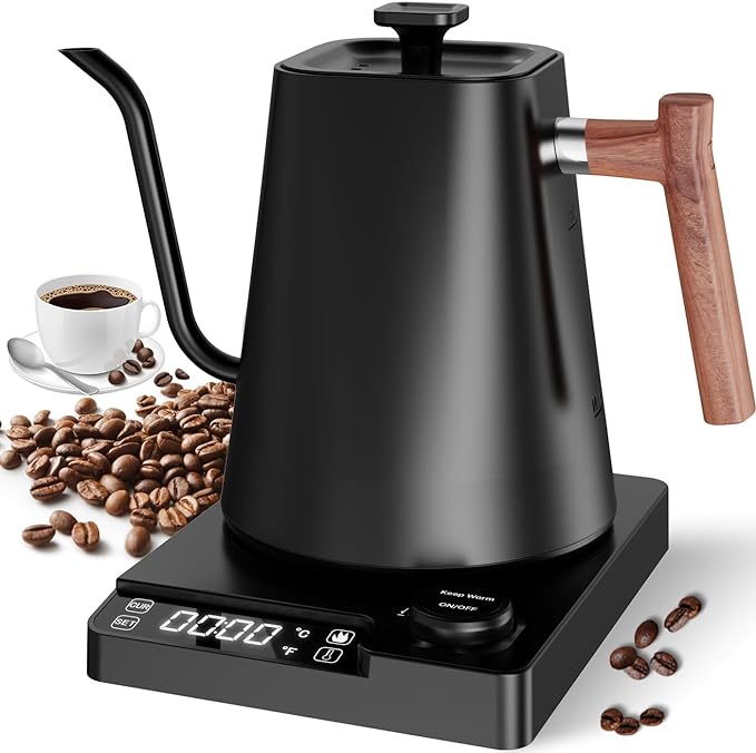 Best Electric Gooseneck Kettle