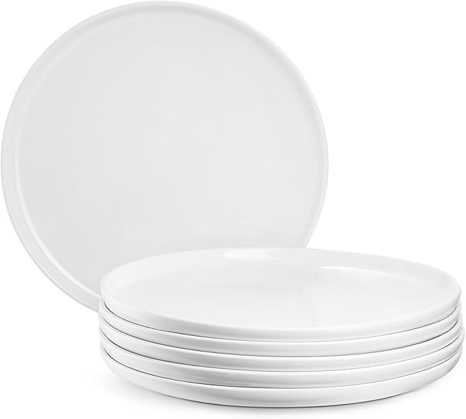 Large Ceramic Plates Set